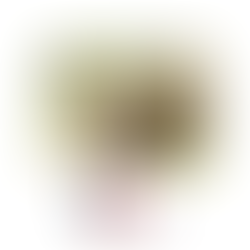 Pioneering Conservation Efforts for India’s Elephants