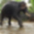 ChatGPT Image Oct 10, 2025, 07_25_20 PM_edited.jpg