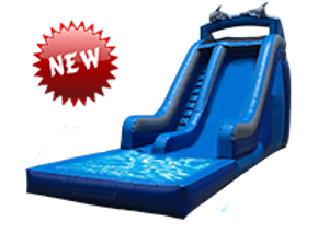 dolphin-th.png