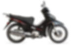 BACCIO FUNCTION - USD 990