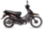 BACCIO PX110 - USD 1040