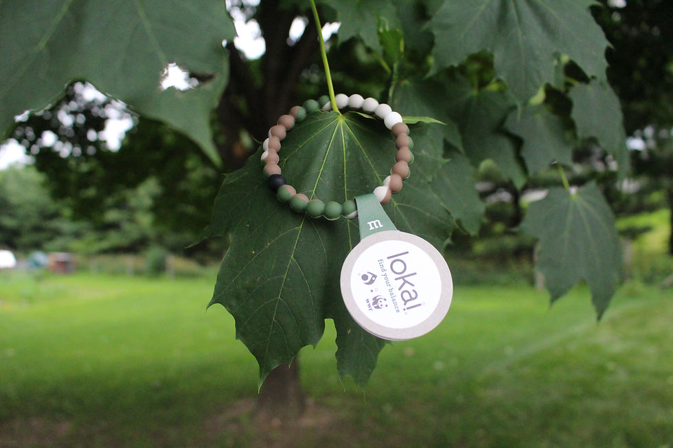 My Wild Lokai in a tree ;)