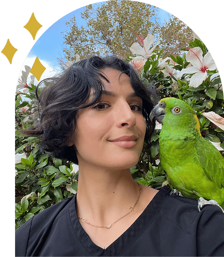 Wild Things Pet Care Owner