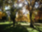 PICNIC IN THE PARK