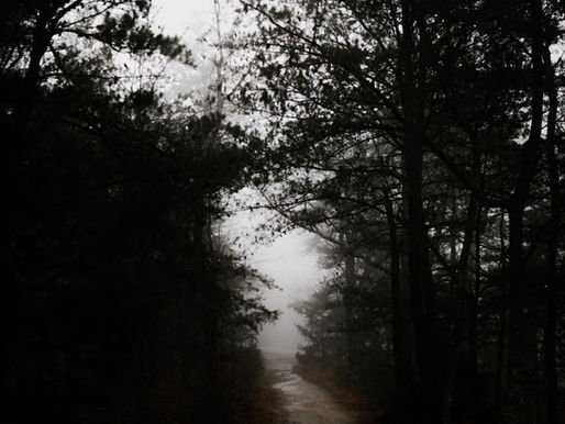 Re-entering a dream