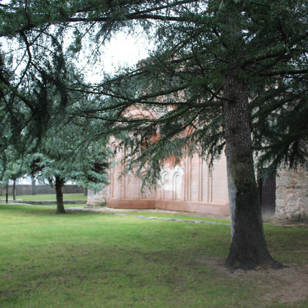 Манастир Велюса парк