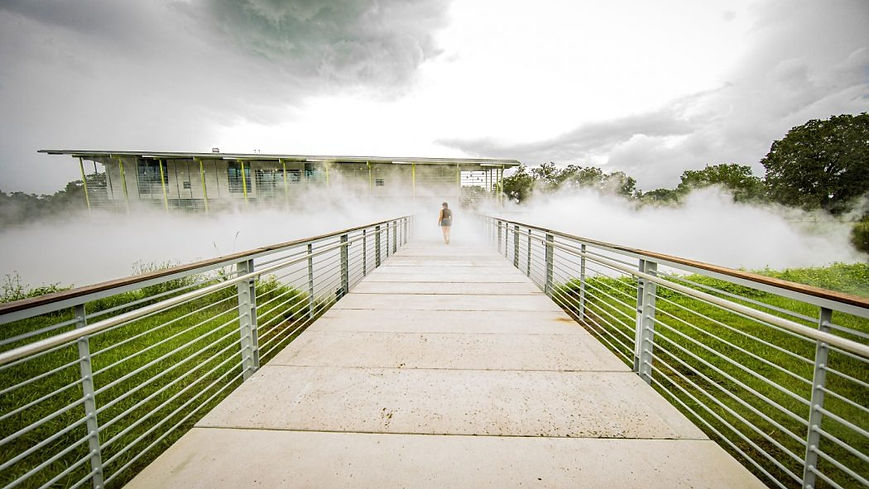 Fog Sculpture