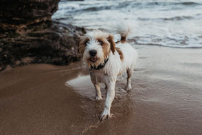 Jervis Bay Family Photographer 