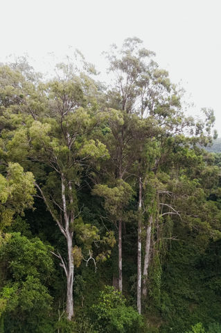 Visit NSW