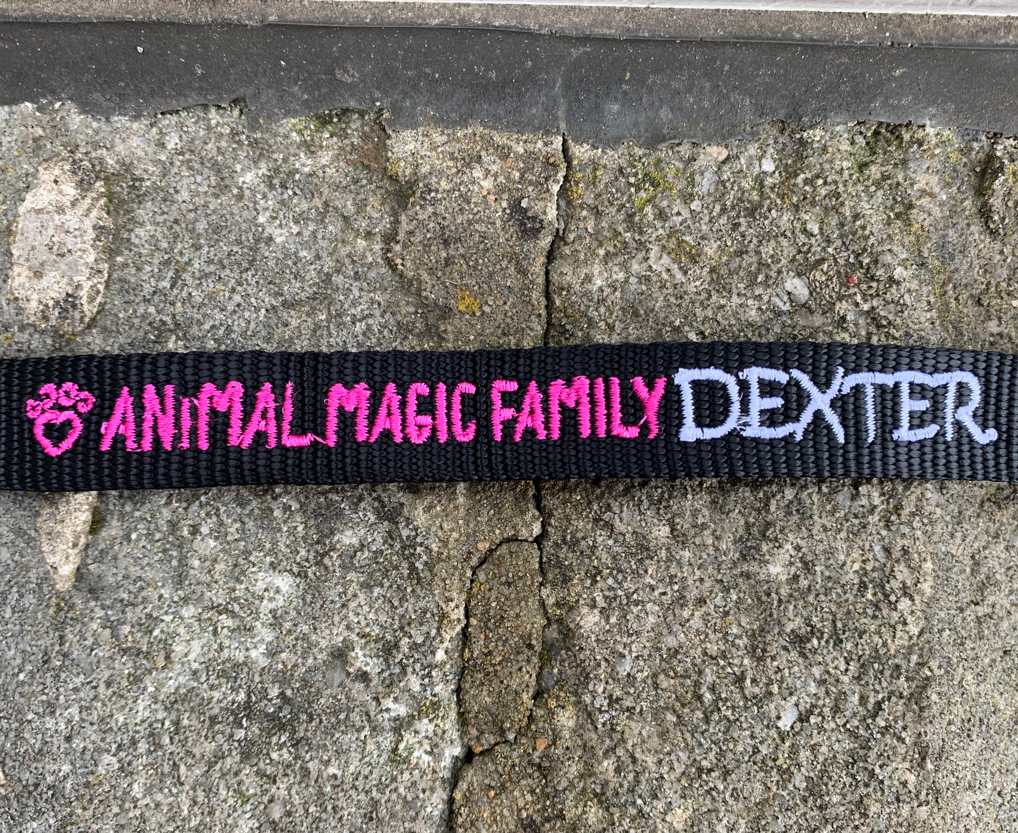 AMF Branded Dog Lead