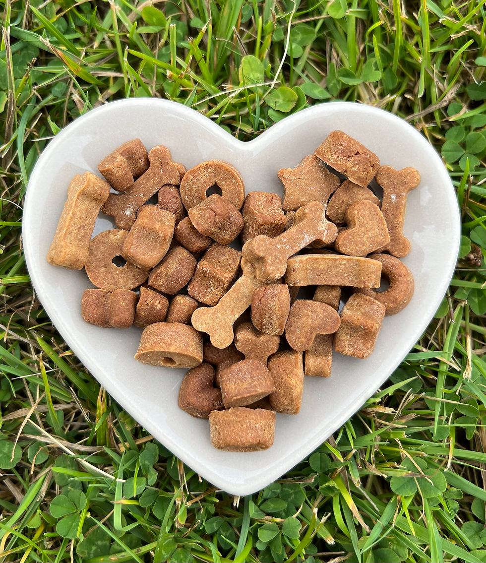 Thumbnail: Perfect Pet Patisserie Luxury Back to School Doggy Delights Subscription