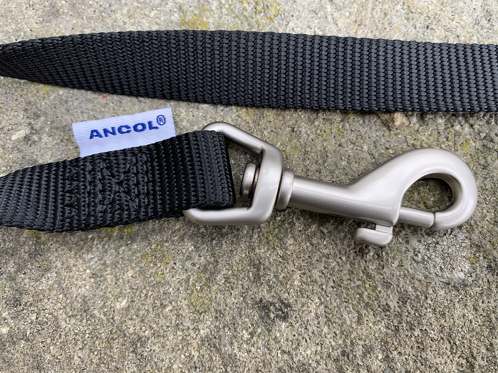Thumbnail: AMF Branded Dog Lead