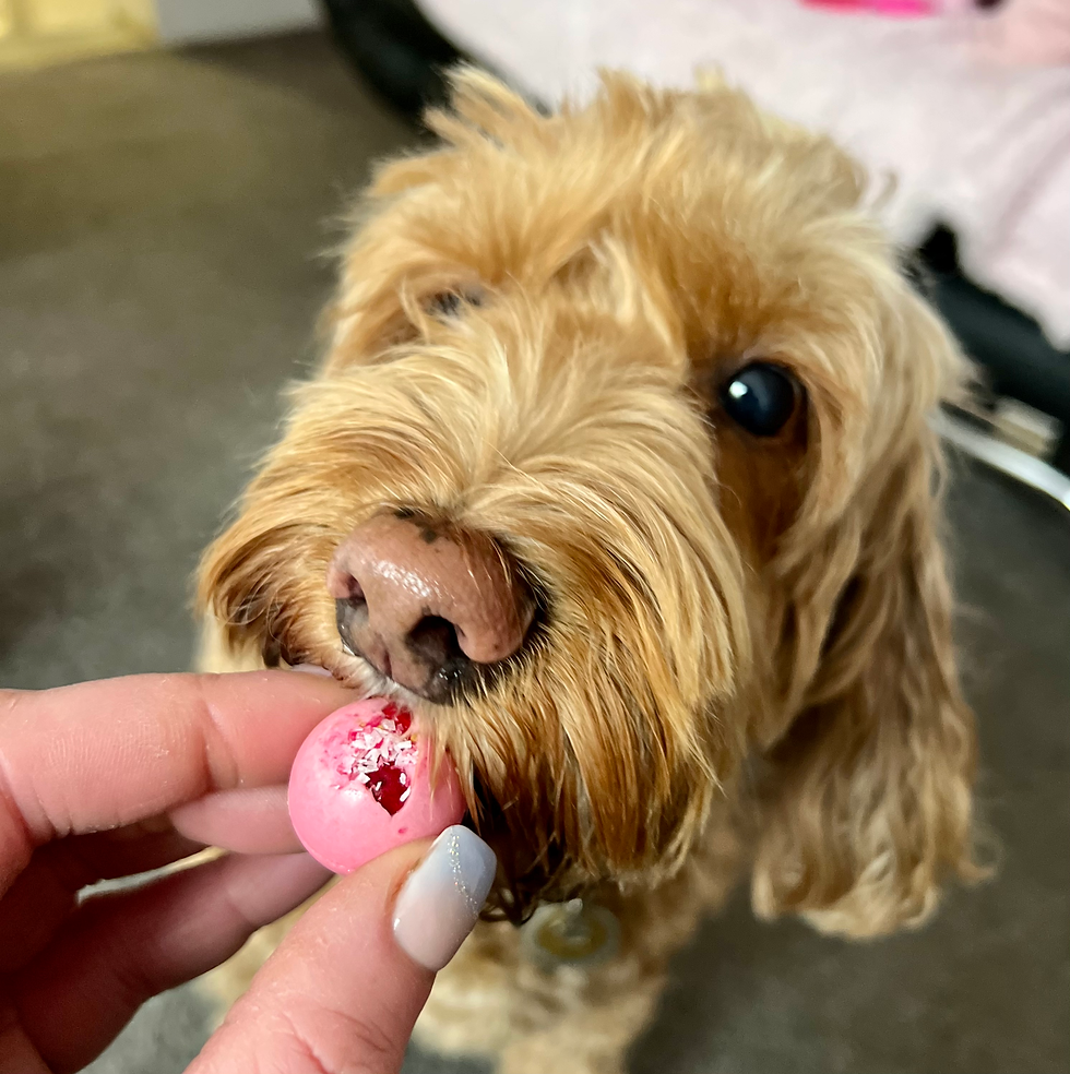 Thumbnail: Perfect Pet Patisserie Luxury Valentines Doggy Delights Gift Box