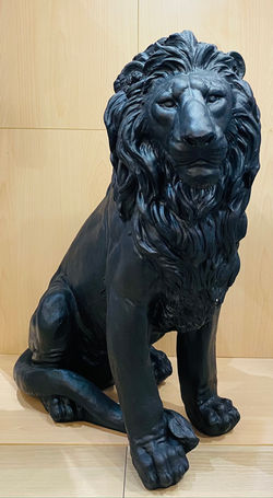 Lion MGO Noir H.80 cm - 199,90€