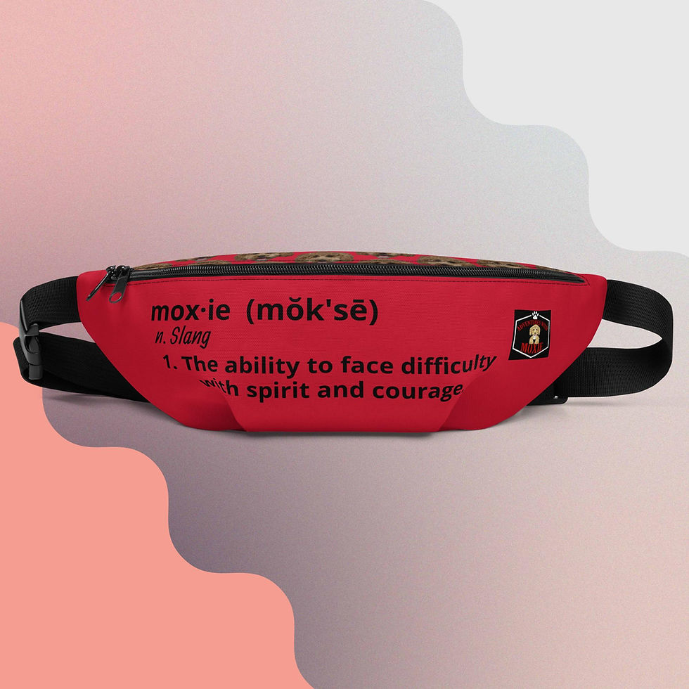 Thumbnail: Fanny Pack