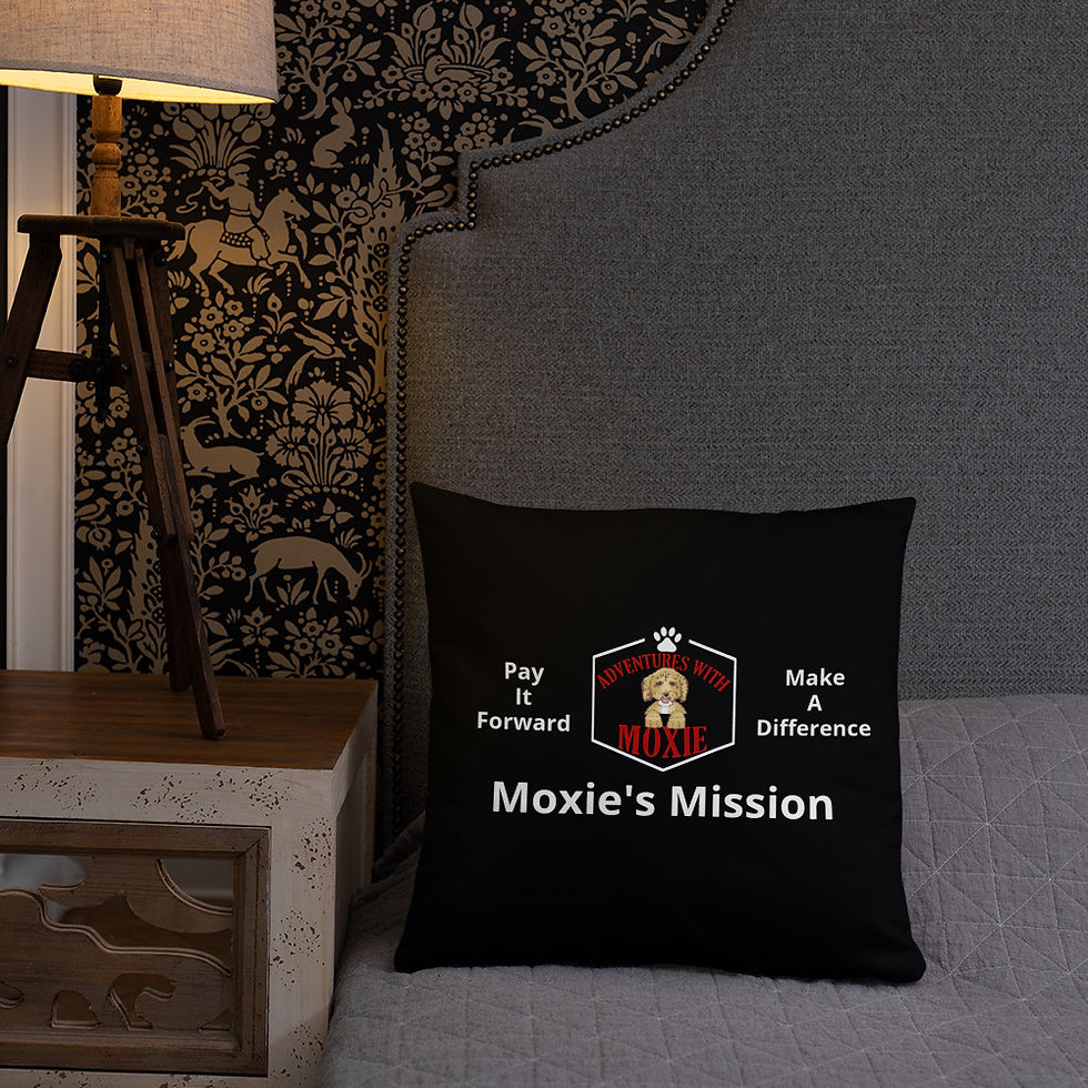 Thumbnail: Moxie definition pillow