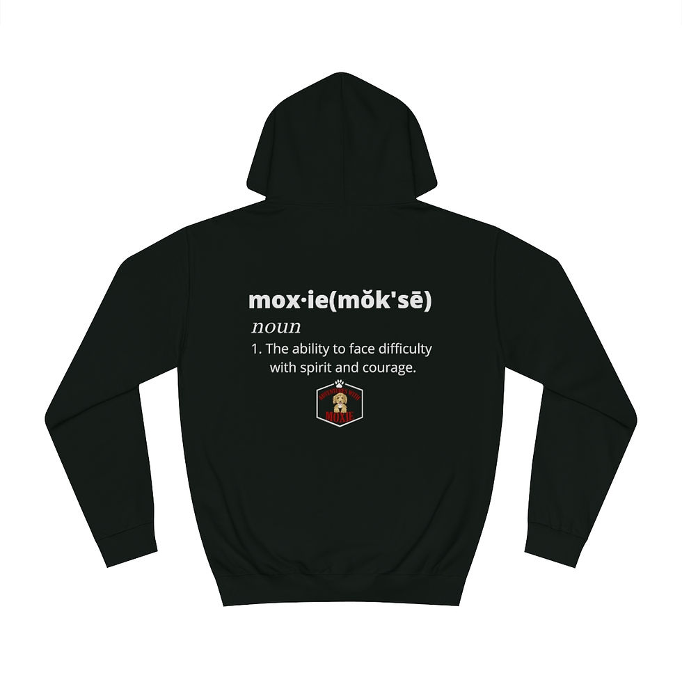 Thumbnail: Unisex College Hoodie