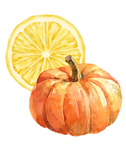 pumpkin and lemon icons for our seasonal cheesecakes - you can order lemon in the spring/summer and pumpkin in the fall/winter.