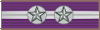 Purple Eagle Ribbon3.gif