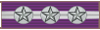 Purple Eagle Ribbon4.gif