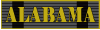 AoA_Veteran.gif