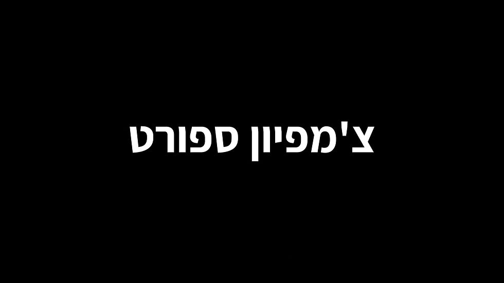 תמונה ממוזערת: NIKE VICTORI  כפכפי גברים