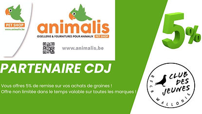 Blue And White Illustrative Marketing Plan Presentation (1).jpg