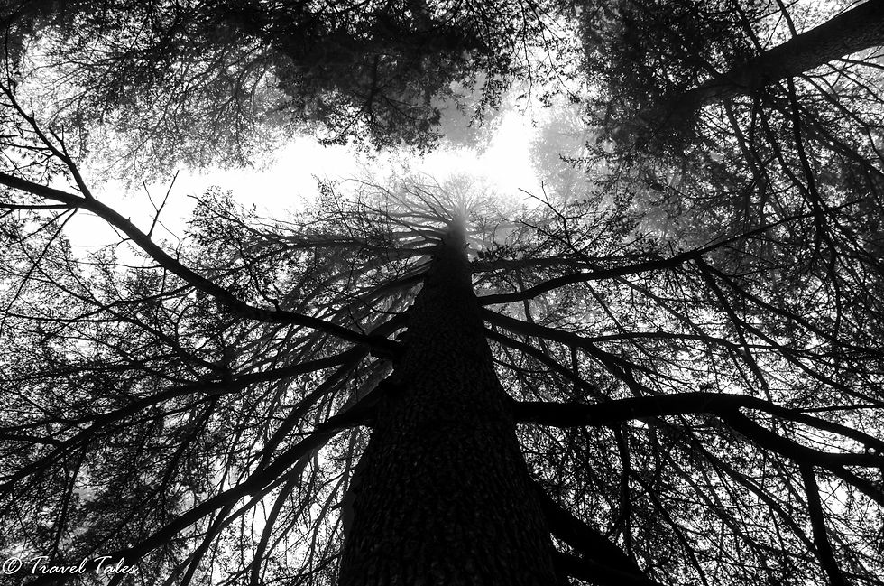 Thumbnail: Naggar and Manali