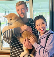 Japanese Akita Puppy