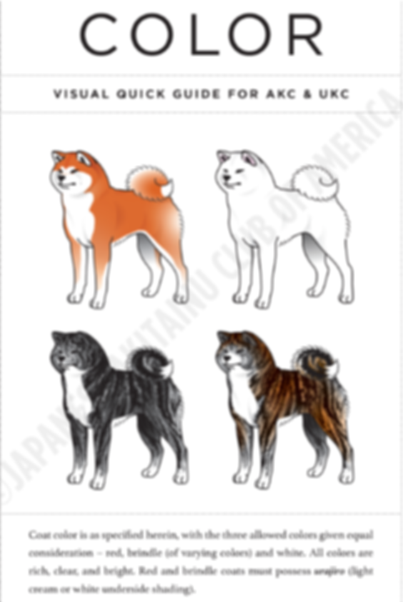 JA.PNG