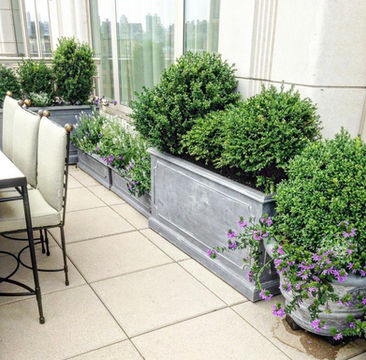 Tree & Shrub Planting