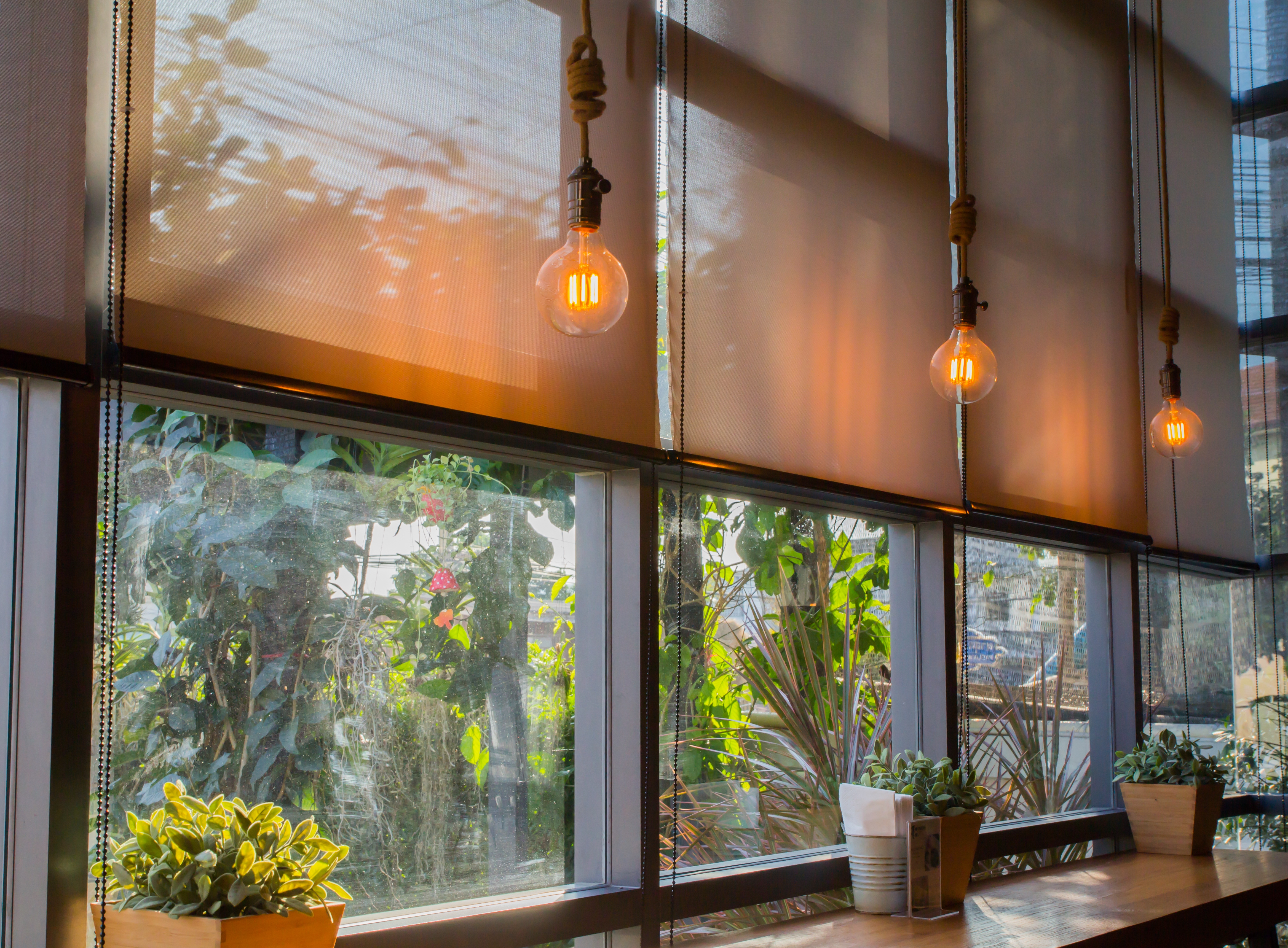 Sunlight filters through stylish blinds in a cozy Canberra setting, illuminating the space with warm hanging lights and lush greenery.