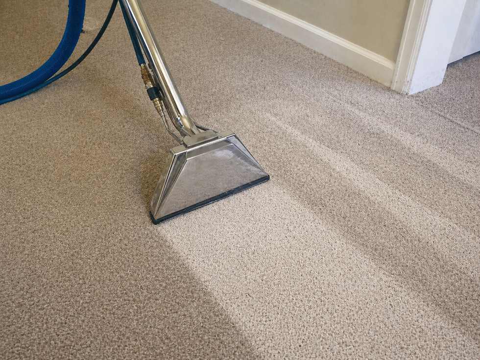  Close-up of professional carpet cleaning wand creating fresh clean strokes on carpet in Essex