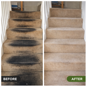 Professional stairs and landing carpet cleaning service