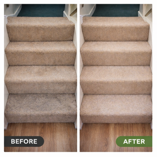pet safe carpet cleaning Loughton Essex hygienic deep clean carpet
