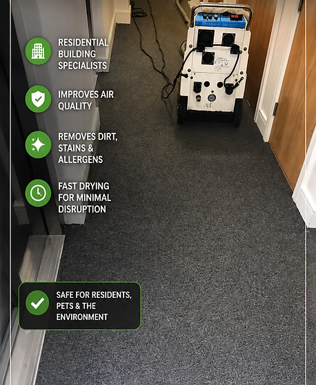 loughton-communal-area-carpet-cleaning-residential-building.PNG