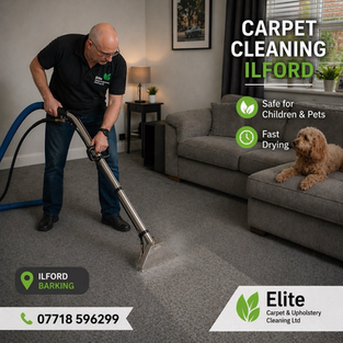 pet friendly carpet cleaning Ilford safe deep clean remove pet odour stains