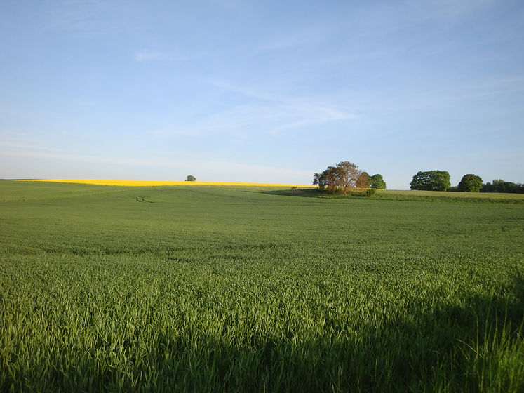 DSC08519.JPG