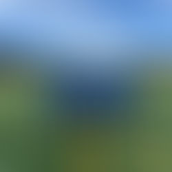 福井県U13選手権大会vs.坂井フェニックス