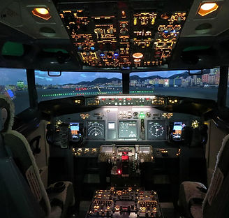 flight-experience-singapore.jpg