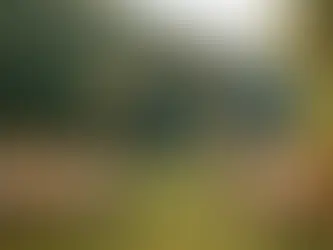 Espaço para casamento na natureza: como escolher