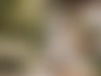 Como organizar casamento boutique sem excessos