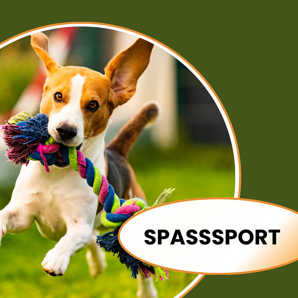 SPASSSPORT KURS M2ff.26, MEILEN