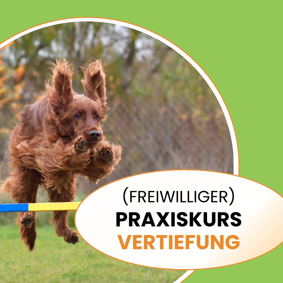 START PRAXISKURS VERTIEFUNG M1.26 / MEILEN