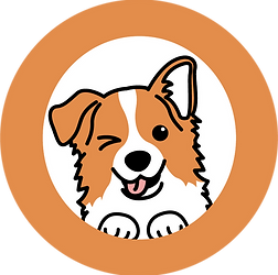 HUNDHOCH2-Icon mit lächelndem und blinzelndem Hundekopf in orangefarbenem Kreis.