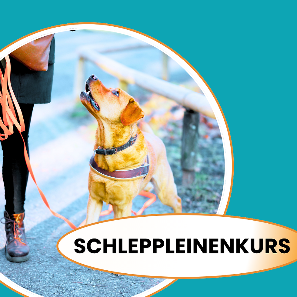 SCHLEPPLEINEN-KURS