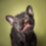 Aktion_Fotostudio_Berlin_PhotographyAnnaMüller_01.jpg