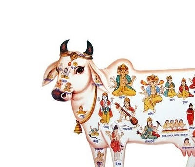 गौ
