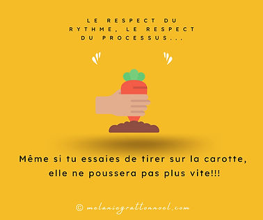 Le respect du rythme, le respect du processus...