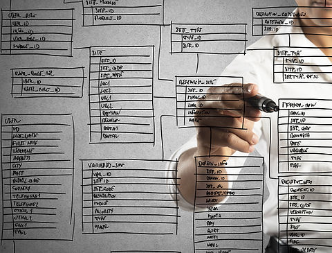 Programmer designs and organizes a new d